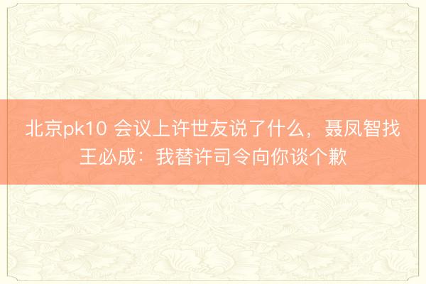 北京pk10 会议上许世友说了什么，聂凤智找王必成：我替许司令向你谈个歉