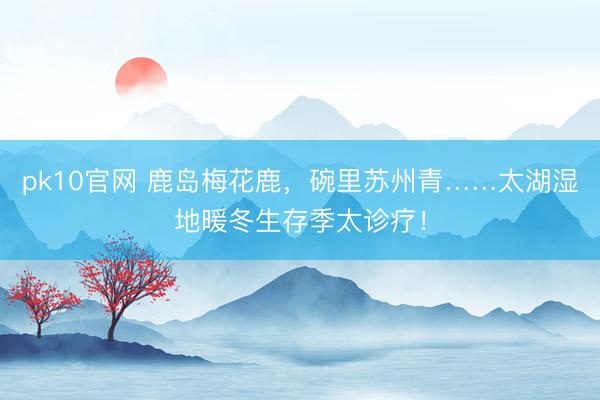 pk10官网 鹿岛梅花鹿，碗里苏州青……太湖湿地暖冬生存季太诊疗！
