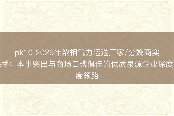 pk10 2026年浓相气力运送厂家/分娩商实力保举:本事突出与商场口碑俱佳的优质泉源企业深度领路