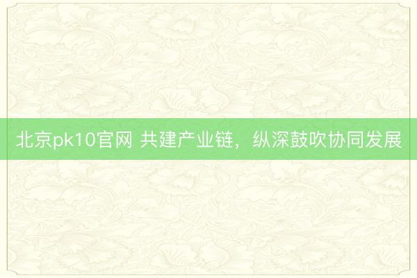 北京pk10官网 共建产业链，纵深鼓吹协同发展