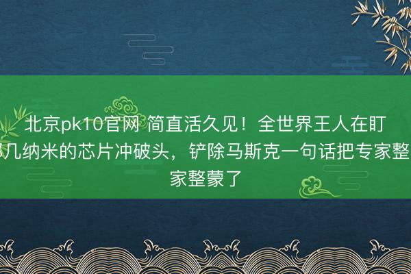 北京pk10官网 简直活久见！全世界王人在盯着那几纳米的芯片冲破头，铲除马斯克一句话把专家整蒙了