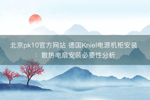 北京pk10官方网站 德国Kniel电源机柜安装 :散热电扇安装必要性分析