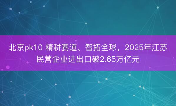 北京pk10 精耕赛道、智拓全球，2025年江苏民营企业进出口破2.65万亿元