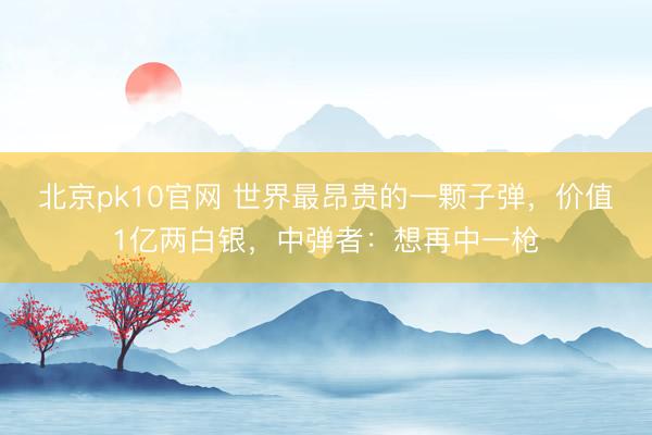 北京pk10官网 世界最昂贵的一颗子弹,价值1亿两白银,中弹者:想再中一枪