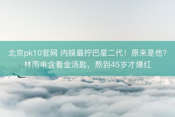 北京pk10官网 内娱最拧巴星二代！原来是他？林雨申含着金汤匙，熬到45岁才爆红
