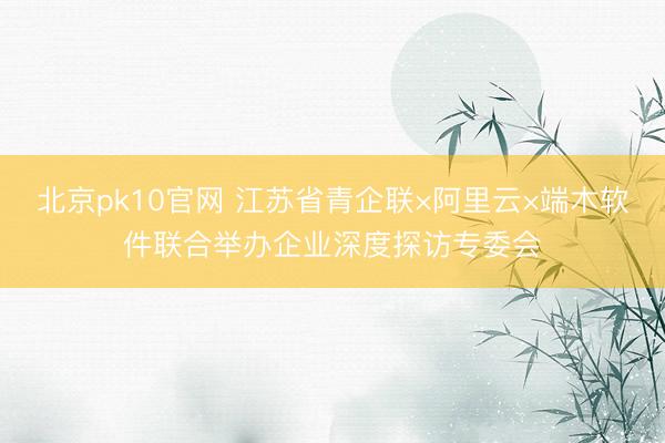 北京pk10官网 江苏省青企联×阿里云×端木软件联合举办企业深度探访专委会
