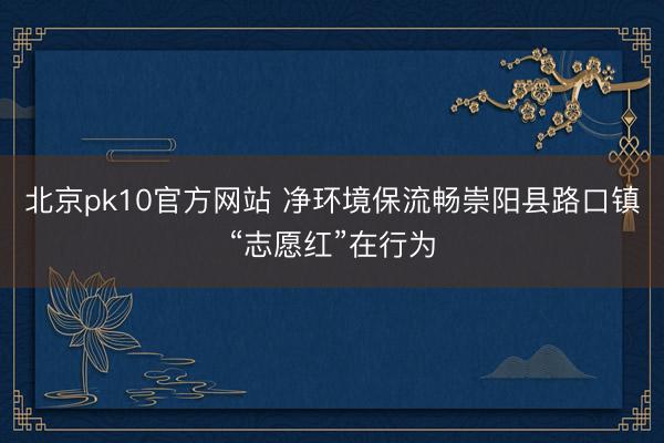 北京pk10官方网站 净环境保流畅崇阳县路口镇“志愿红”在行为
