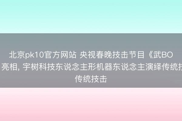 北京pk10官方网站 央视春晚技击节目《武BOT》亮相， 宇树科技东说念主形机器东说念主演绎传统技击