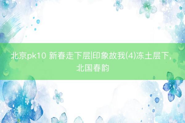 北京pk10 新春走下层|印象故我(4)冻土层下， 北国春韵