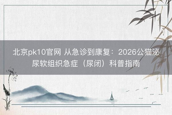 北京pk10官网 从急诊到康复:2026公猫泌尿软组织急症(尿闭)科普指南