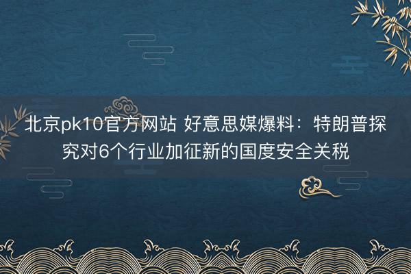 北京pk10官方网站 好意思媒爆料:特朗普探究对6个行业加征新的国度安全关税
