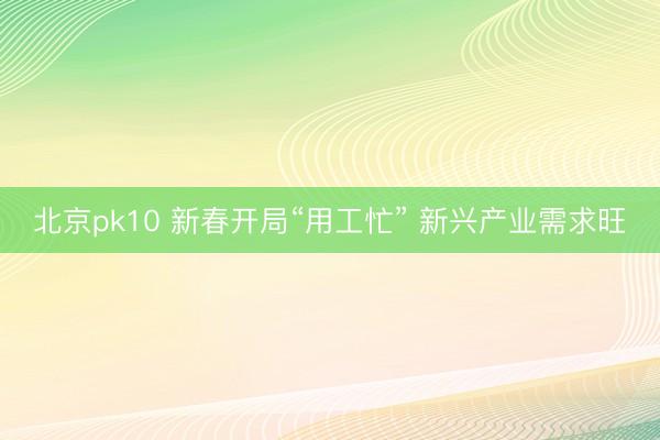 北京pk10 新春开局“用工忙” 新兴产业需求旺
