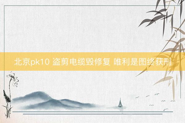 北京pk10 盗剪电缆毁修复 唯利是图终获刑