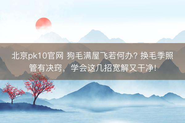 北京pk10官网 狗毛满屋飞若何办? 换毛季照管有决窍，学会这几招宽解又干净!