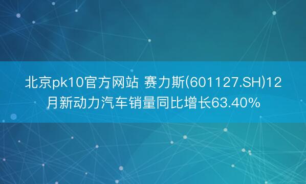 北京pk10官方网站 赛力斯(601127.SH)12月新动力汽车销量同比增长63.40%
