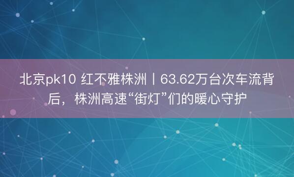 北京pk10 红不雅株洲丨63.62万台次车流背后,株洲高速“街灯”们的暖心守护